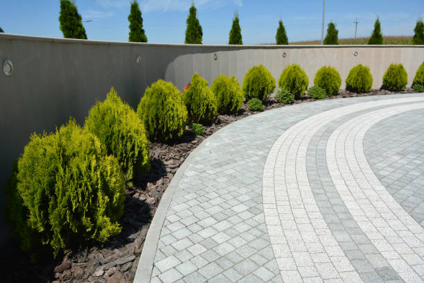 Best Decorative Driveway Pavers  in Farley, IA